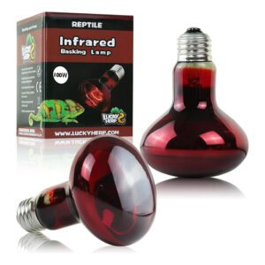 خرید لامپ حرارتی مادون قرمز اینفرارد لاکی هرپ در توان‌های 50، 75 و 100 وات مدل Lucky Herp Infrared Basking Lamp اصل - دکتر پلنت