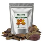 برگ کاتاپا تانتورا سایز XL (برگ تکی)