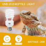 لامپ UVB 10 خزندگان لاکی هرپ 26 وات - تصویر 2