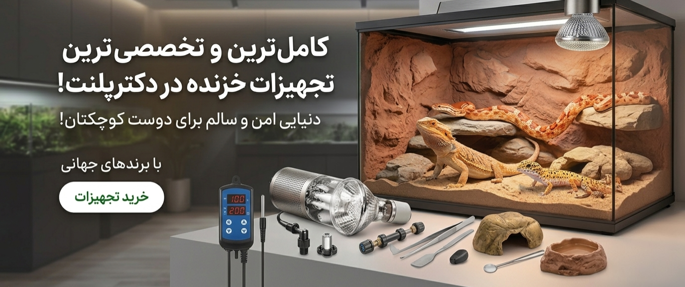 بنر خزنده