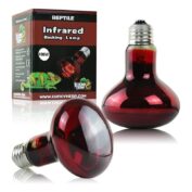 خرید لامپ حرارتی مادون قرمز اینفرارد لاکی هرپ در توان‌های 50، 75 و 100 وات مدل Lucky Herp Infrared Basking Lamp اصل - دکتر پلنت