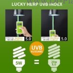 خرید لامپ یو وی بی 5 درصد لاکی هرپ 5 وات مدل مینیاتوری Lucky Herp UVB 5 5W اصل - دکتر پلنت