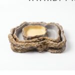 reptile-water-dish