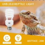 لامپ UVB 10 خزندگان لاکی هرپ 26 وات - تصویر 2